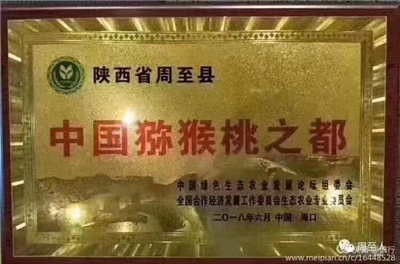 西安猕猴桃
