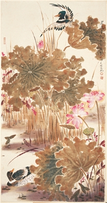 碧池清影 王少桓