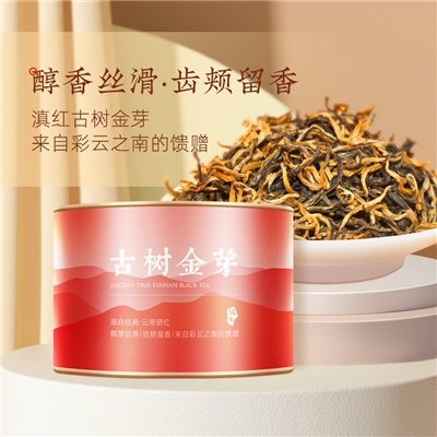 茶马世家云南晒红古树金芽滇红茶特级云南凤庆高山古树茶50g罐装