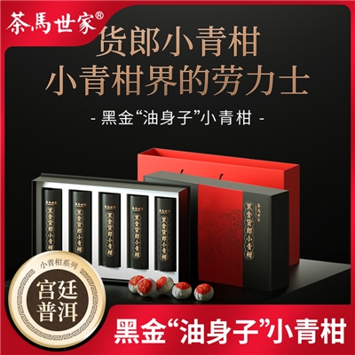 茶马世家 正宗广东新会黑金货郎小青柑普洱熟茶叶礼盒装250g