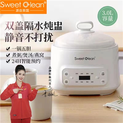 英国SweetClean多功能隔水电炖锅家用全自动预约定时煲汤燕窝甜品陶瓷砂锅一锅五胆