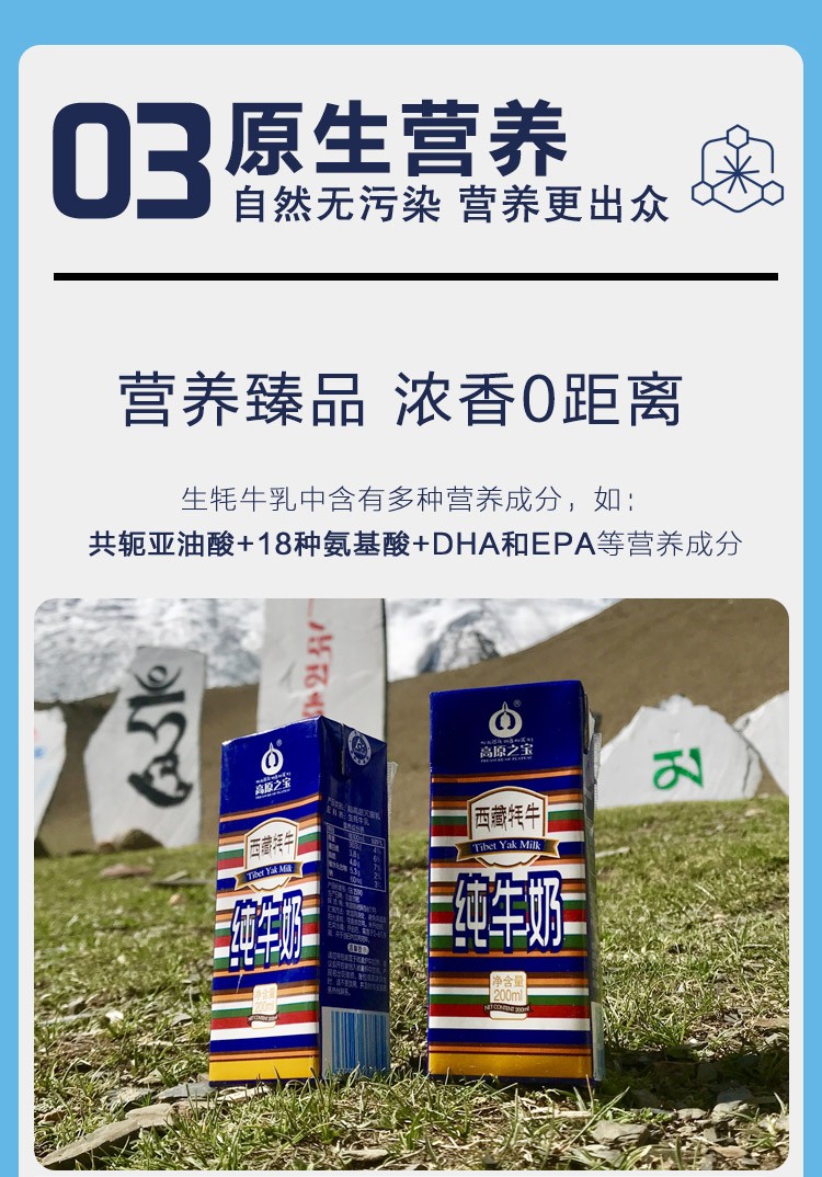 西藏高原之宝牦牛奶200ml*12支/提