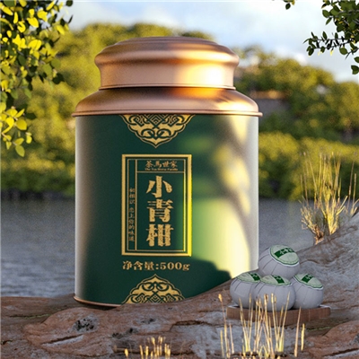 茶马世家新会天马小青柑陈皮普洱茶熟茶叶柑普茶礼盒装 一斤大份量装