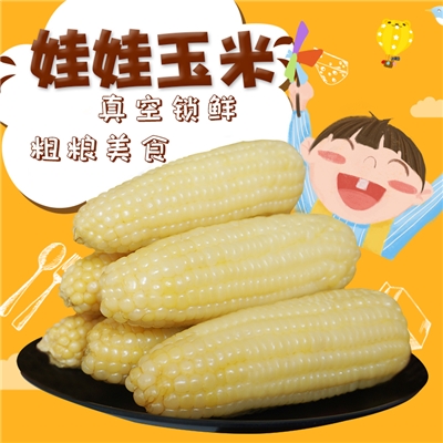 高氏禾田 娃娃糯玉米10根装|GSHT10-WW